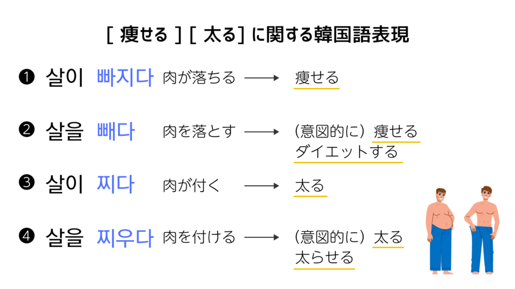 「痩せる・太る」の韓国語表現