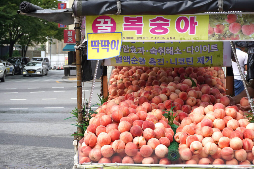 楽園商街 낙원상가